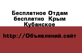 Бесплатное Отдам бесплатно. Крым,Кубанское